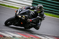 Lower Group Black Bikes